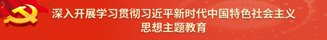深入开展学习贯彻习近平新时代中国特色社会主义思想主题教育